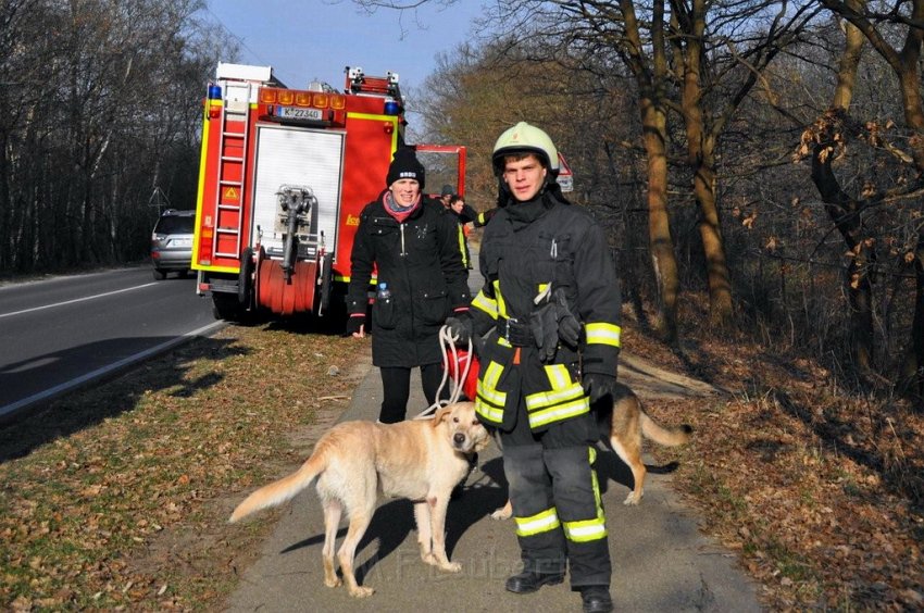 Hund und Frauchen im Eis eingebrochen Koeln Dellbrueck Hoehenfelder See P09.jpg